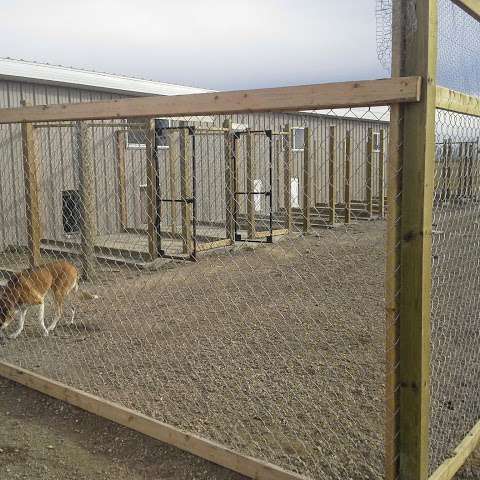 Paws and Claws Kennels Paws and Claws Kennels